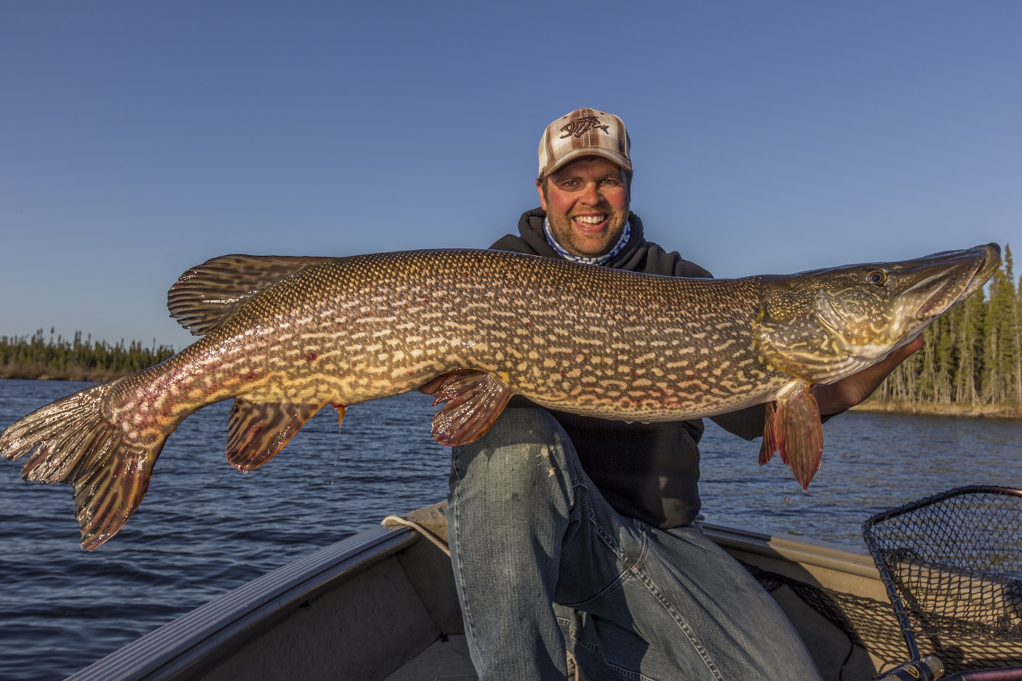 Ice Pike: Tweak Your Game Plan to Target Trophy Northerns - Game & Fish